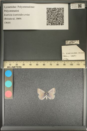 Media type: image;   Entomology 192490